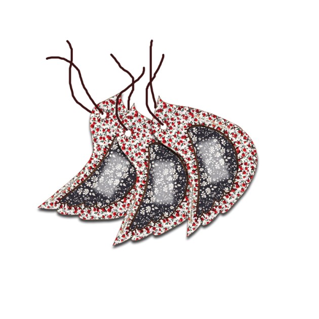 étiquette oiseau présentation