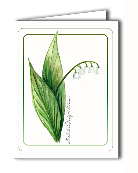 carte muguet présentation