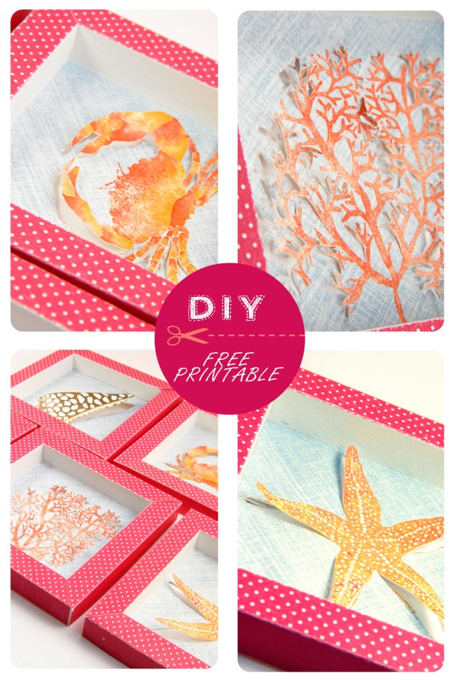 free printable shell collection box 7