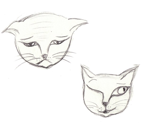 illusration mimique de chat 1