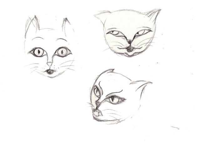 illustration bouille de chat