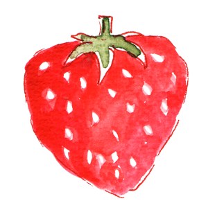 illustration fraise à l'aquarelle 1