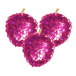 illustration framboise à l'aquarelle