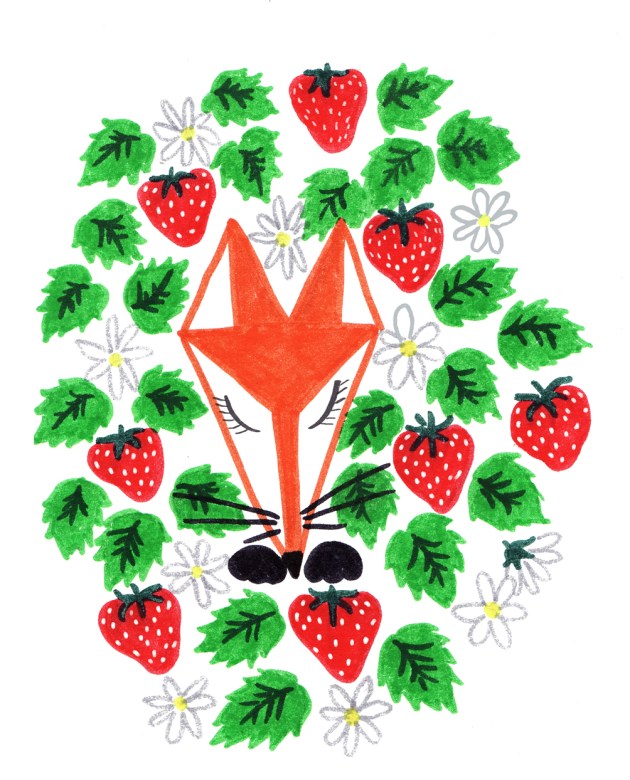 illustration moi de juin renard dans les fraises