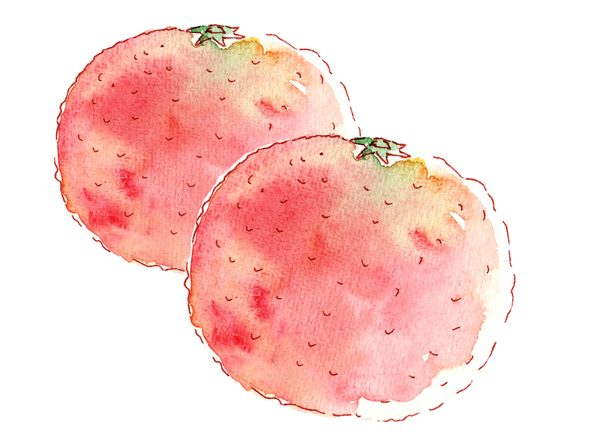 illustration pomelo à l'aquarelle