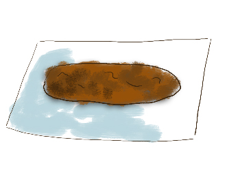 recette de spéculoos tuto 1