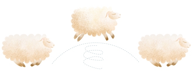 illustration mouton