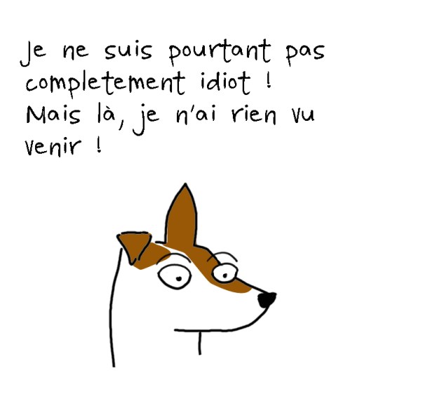 diesel le jack russell qui parle 2