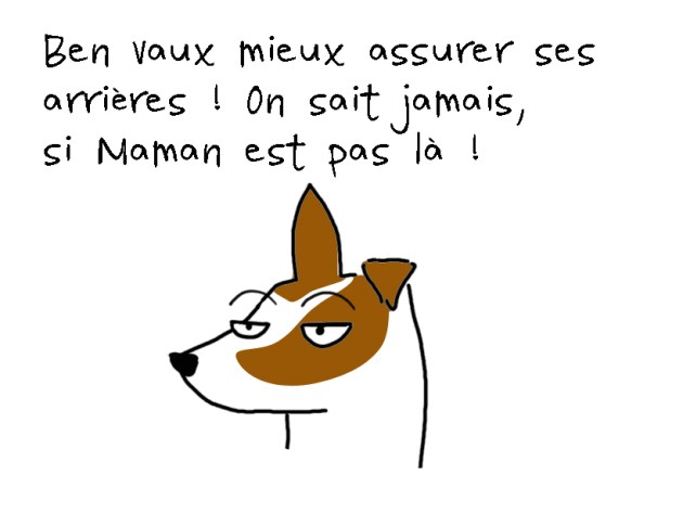 diesel le jack russell qui parle 3