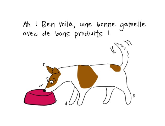 illustration Diesel le jack Russel fait le fait gourmet 2