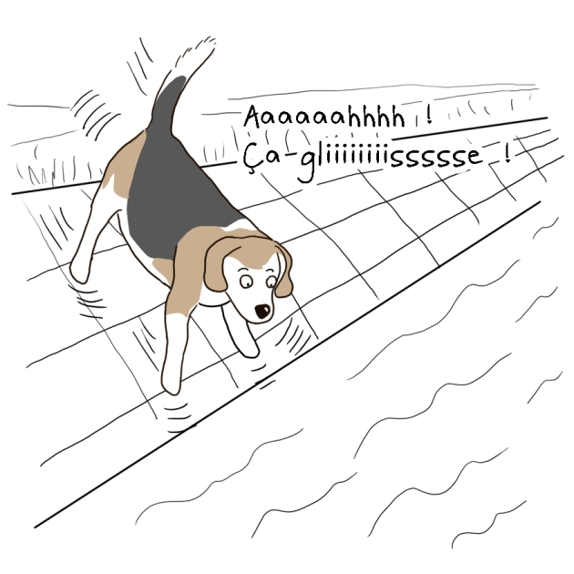 anatole le beagle dans le canal 1